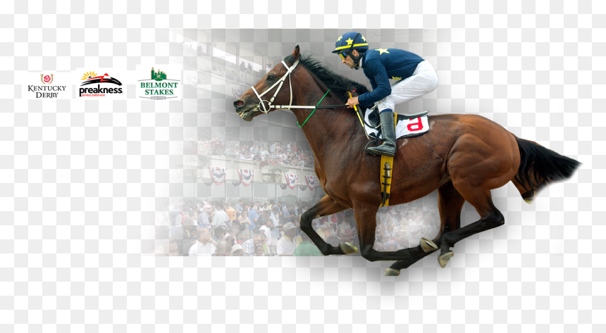 Cusiconage - Belmont Stakes, HD Png Download - kentucky derby logo png