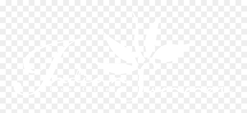 Johns Hopkins Logo White, HD Png Download - indian welcome png