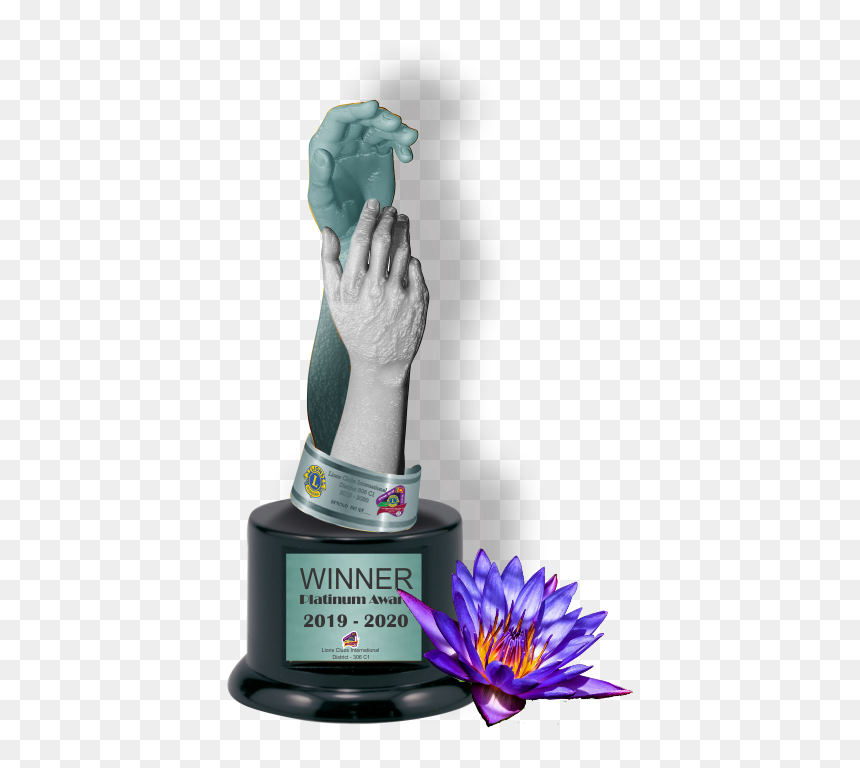 Aster, HD Png Download - platinum trophy png