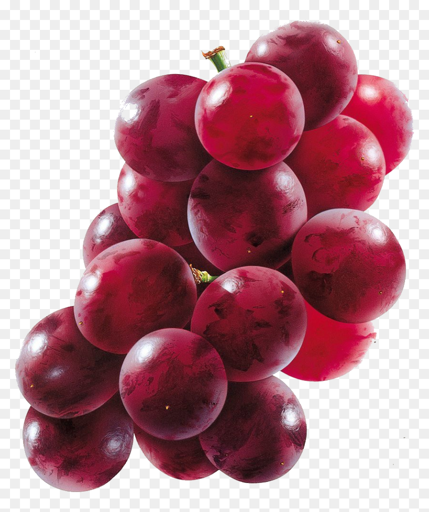 Thumb Image - Muscadine Grape Png, Transparent Png - uva png