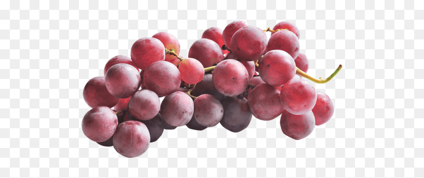 Uva Con Semi Red Globe - Seedless Fruit, HD Png Download - uva png