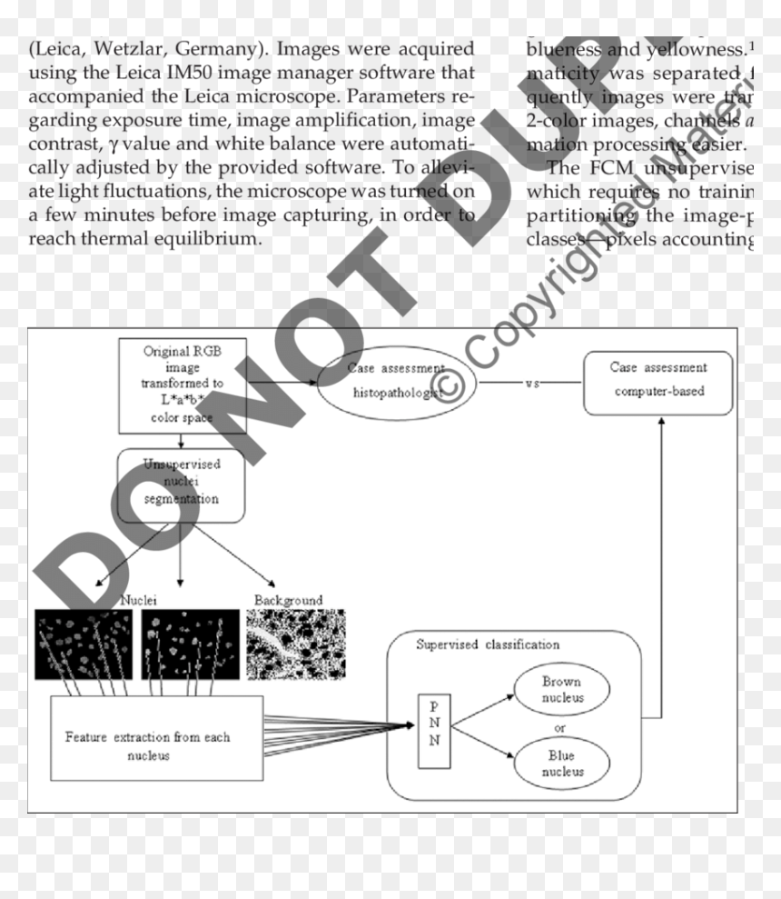 Diagram, HD Png Download - green and white background design png