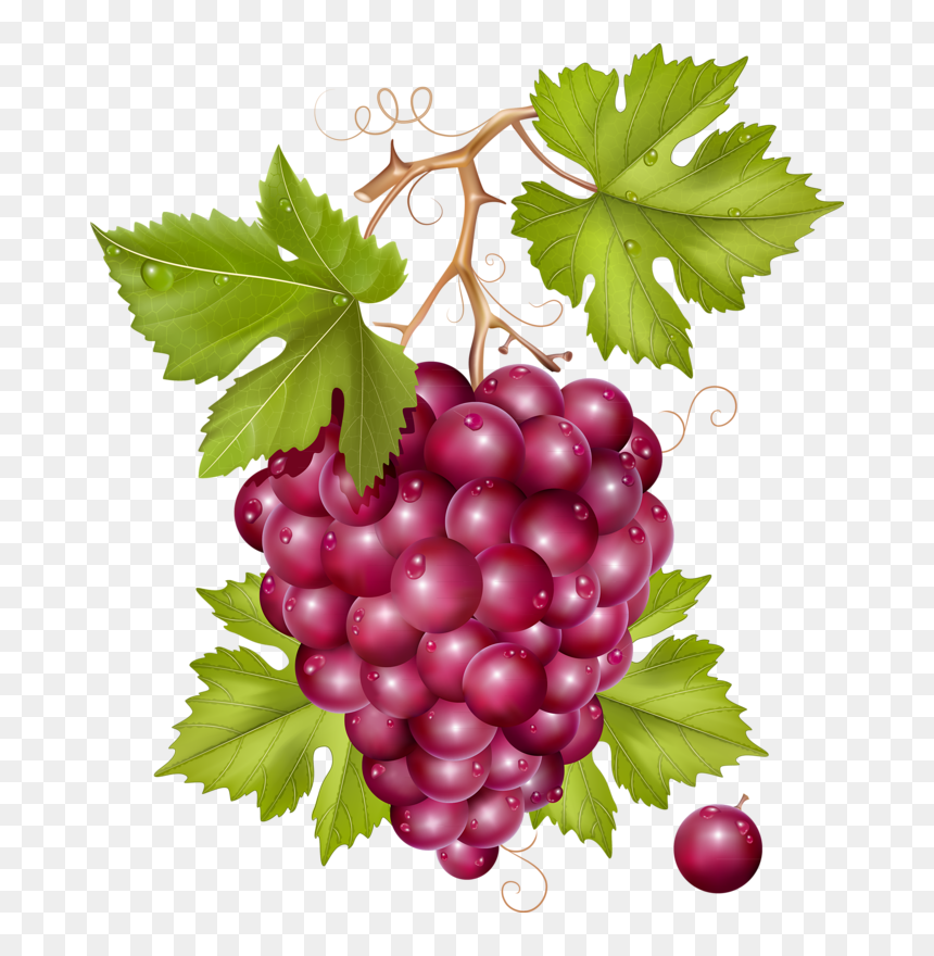 Grape, HD Png Download - grapes leaf png