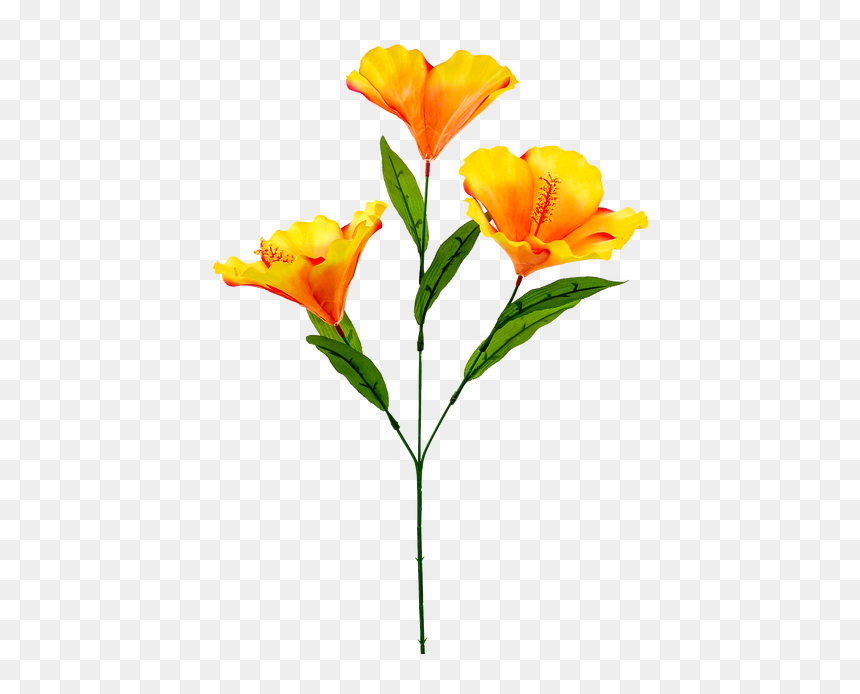 Orange Lily, HD Png Download - burlap ribbon png