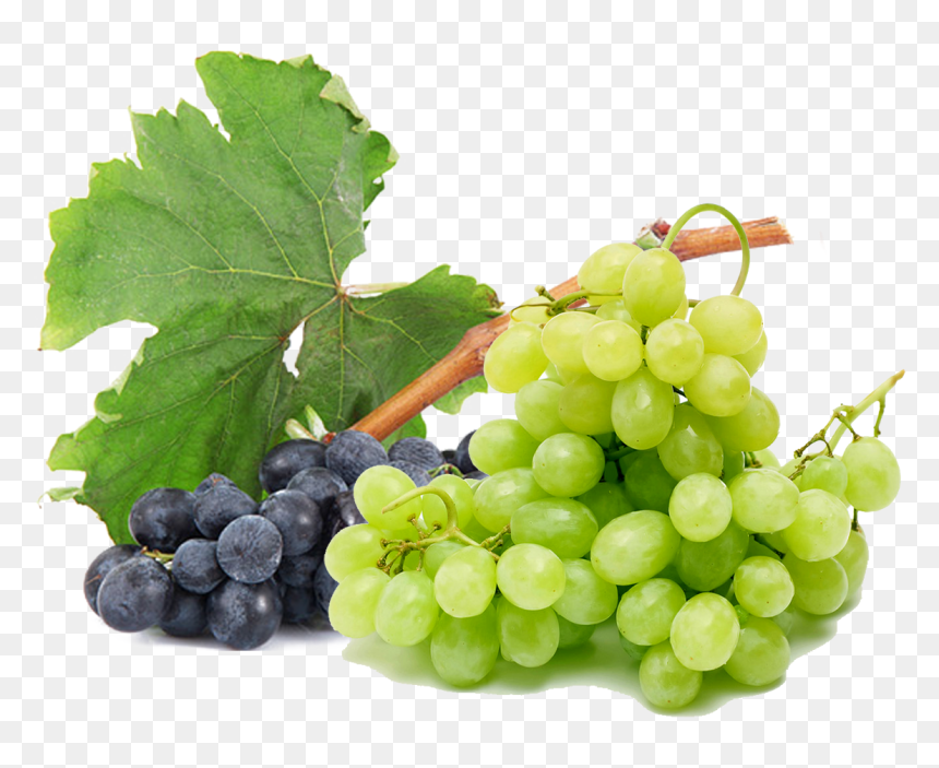 Grapes Free Png Image - Black And Green Grapes, Transparent Png - grapes leaf png
