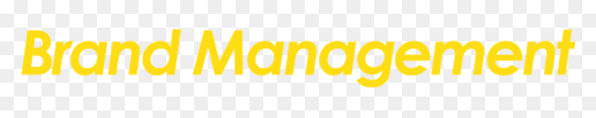 Brand-management - Disco Freio Dianteiro Ventilado, HD Png Download - brand management png
