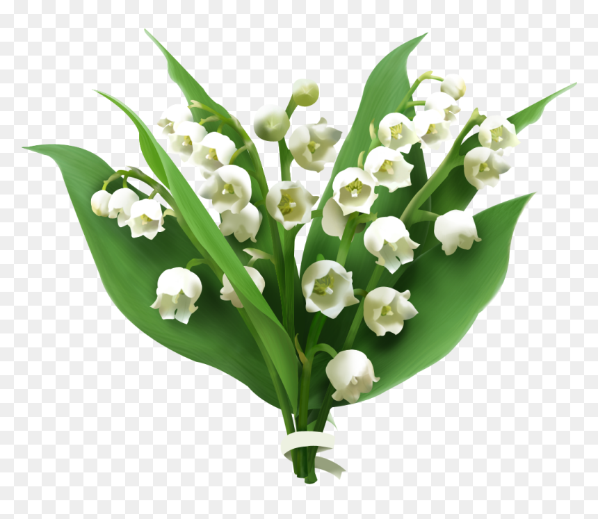 Lily Of The Valley Png Picture - Lily Of The Valley Png, Transparent Png - valley png