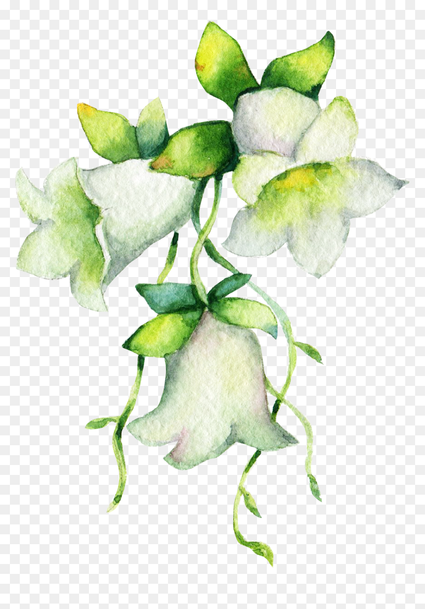 Lily Of The Valley , Png Download, Transparent Png - valley png