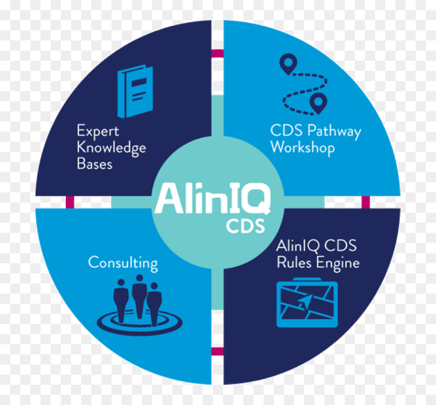 Aliniq Clinical Decision Making Wheel Image - Abbott Aliniq, HD Png Download - abbott logo png