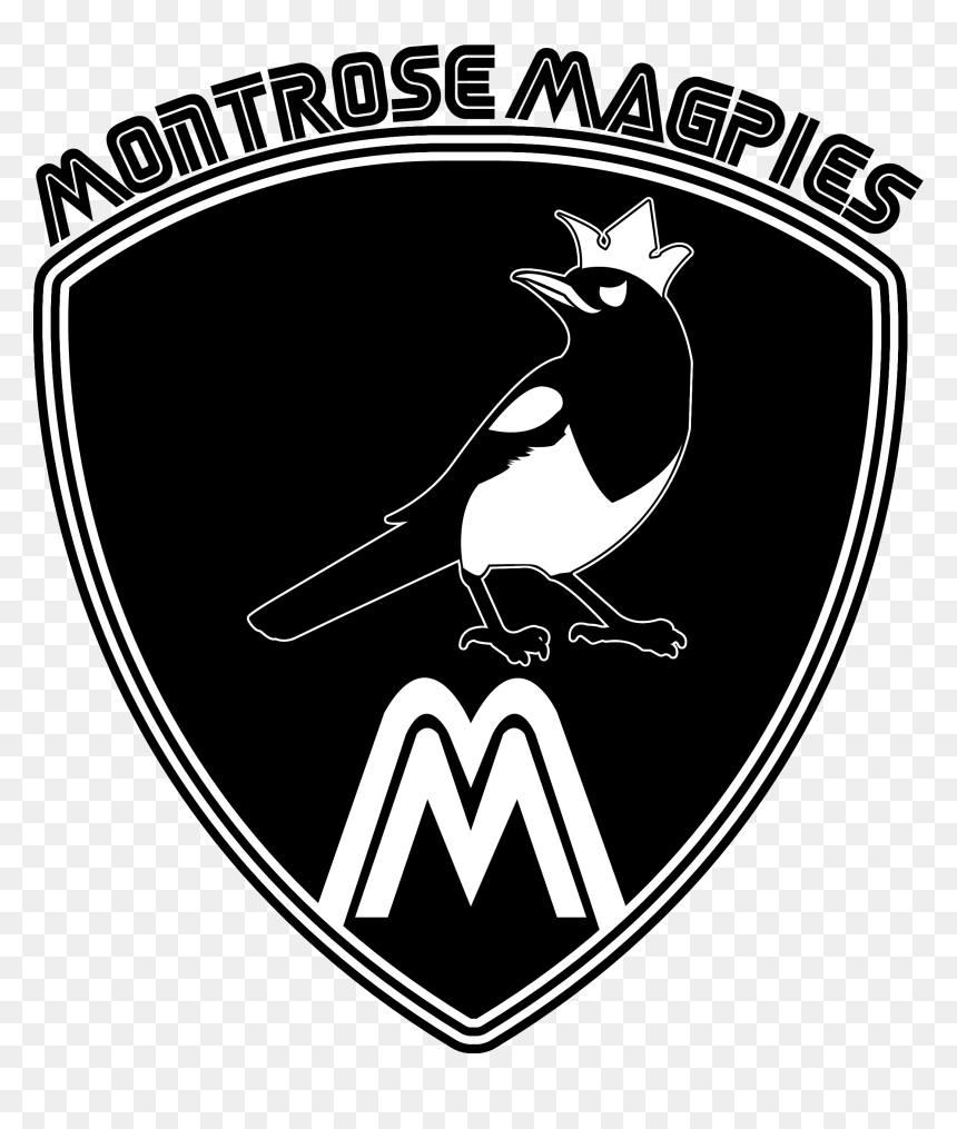 Harry Potter Montrose Magpies, HD Png Download - harry potter characters png