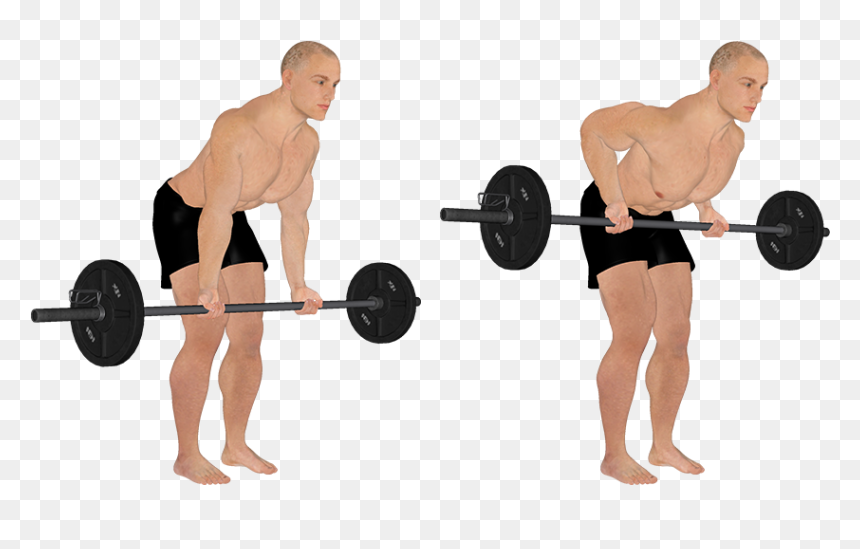 Bodybuilding, HD Png Download - weight bar png