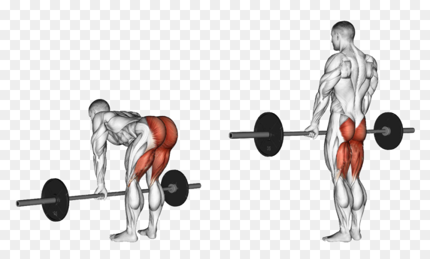 Romanian Deadlift, HD Png Download - weight bar png