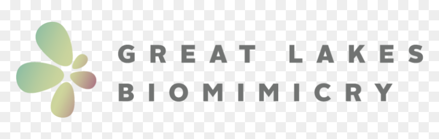 Great Lakes Biomimicry Cwa Partner Logo - Beige, HD Png Download - clover border png
