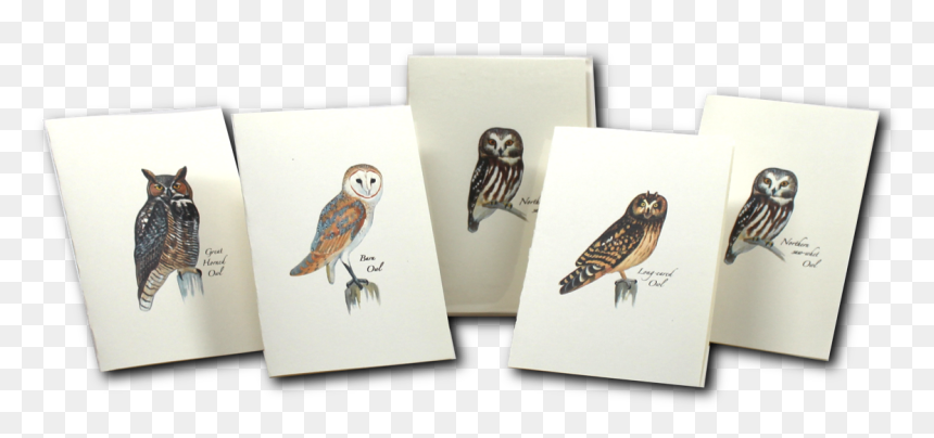 Illustration, HD Png Download - notecard png