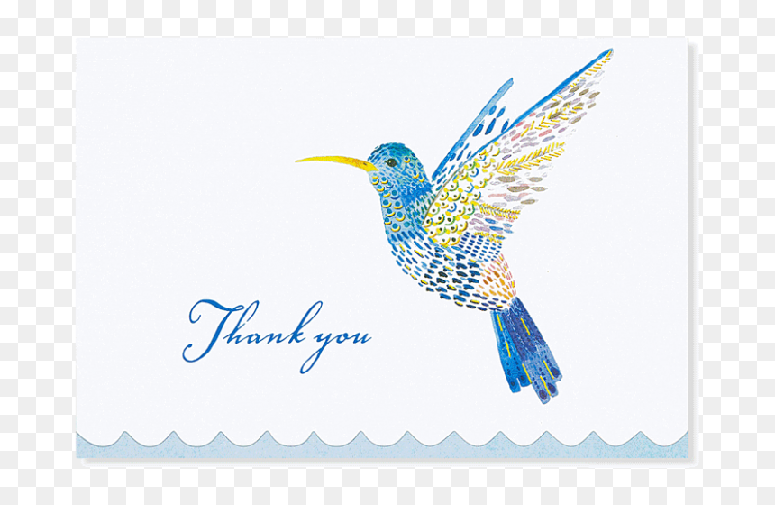 Coraciiformes, HD Png Download - notecard png