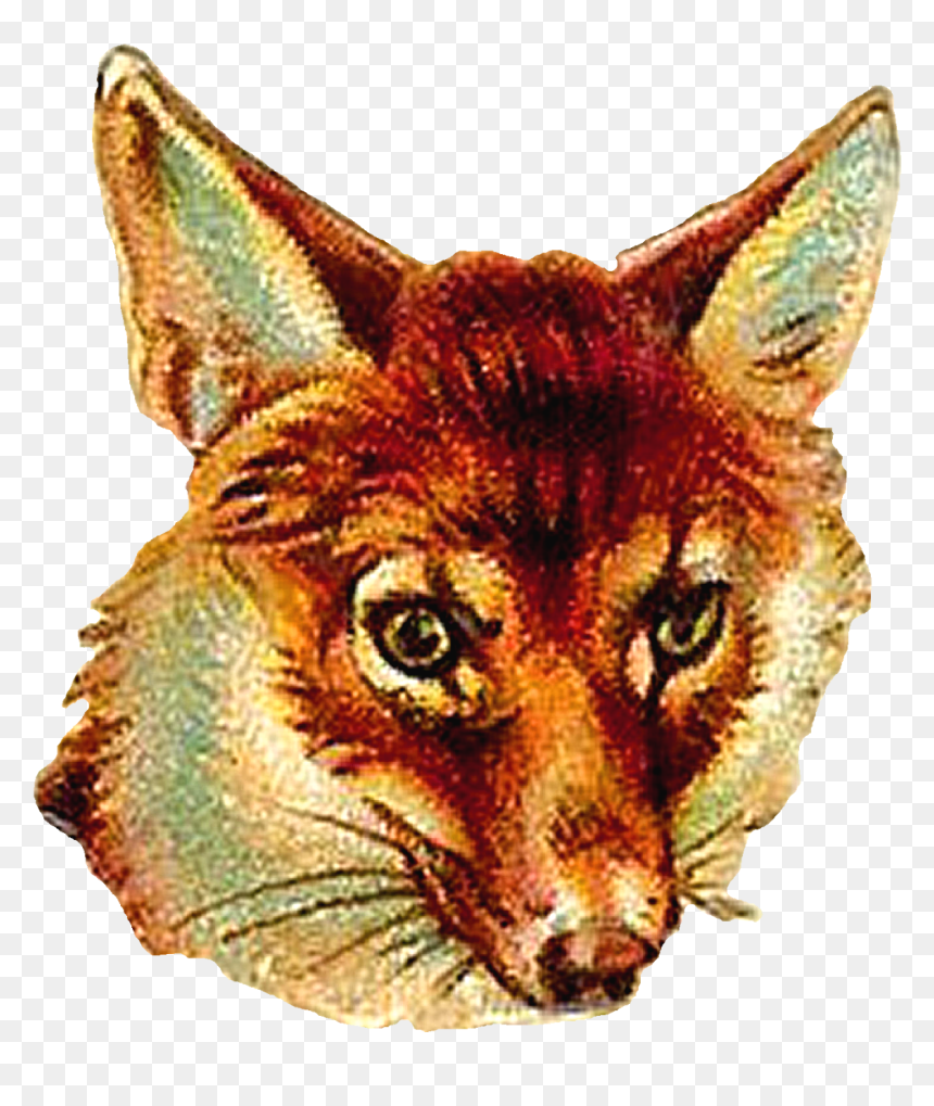 Transparent Woodland Animals Png - Animal Head Vintage Png, Png Download - woodland png