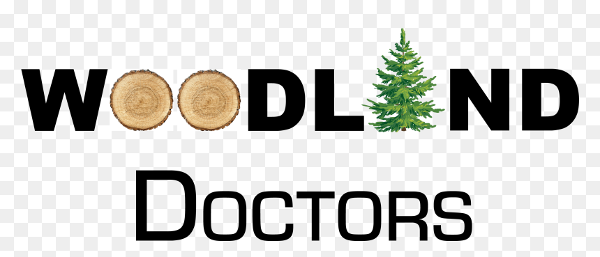 Cookies And Crackers, HD Png Download - woodland png
