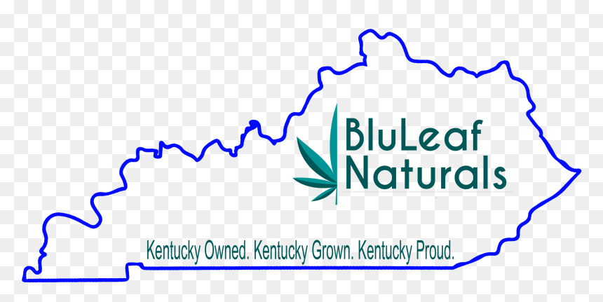 Graphic Design, HD Png Download - kentucky outline png