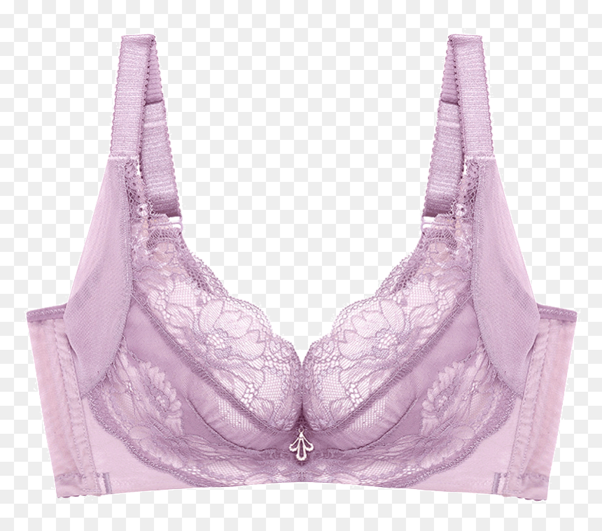 Brassiere, HD Png Download - sexy lingerie png
