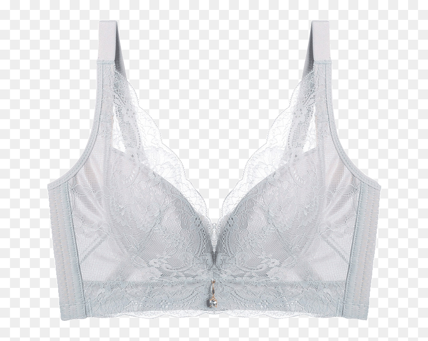 Brassiere, HD Png Download - sexy lingerie png
