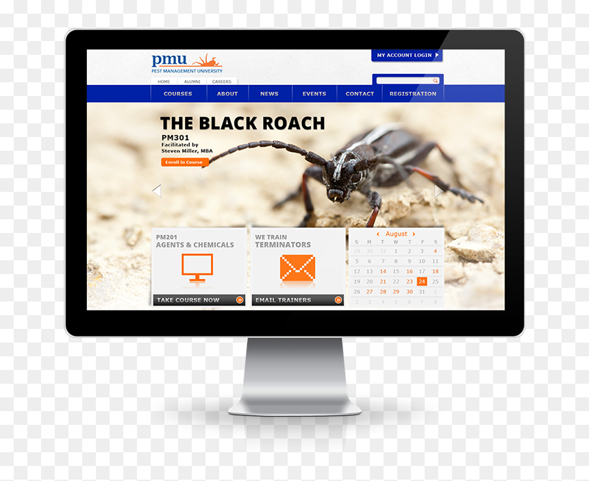 Uf Website Mockup - Web Design, HD Png Download - uf hat png