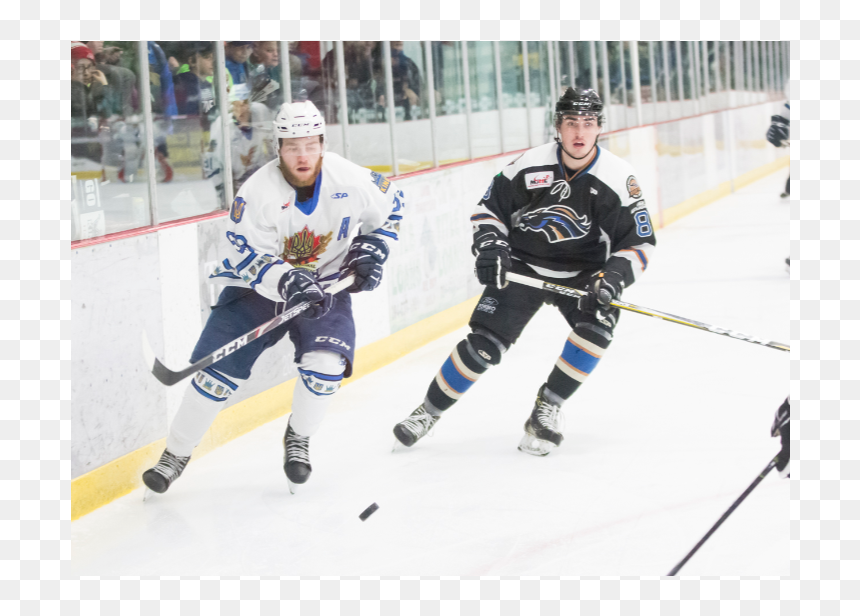 Img - College Ice Hockey, HD Png Download - andrew luck png