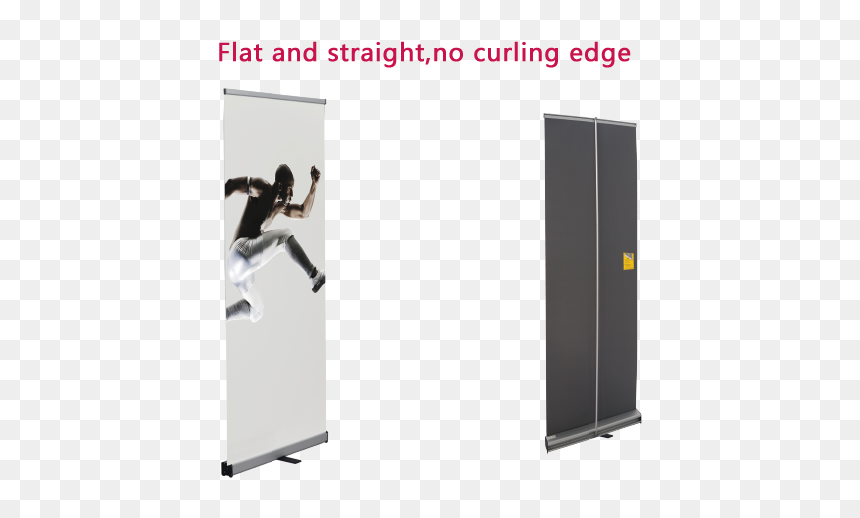 Roll Up Banner Pet Graphic - Door, HD Png Download - banner graphic png