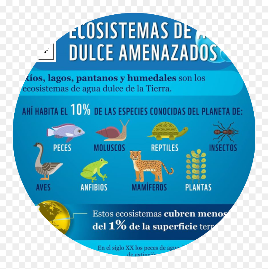 Label, HD Png Download - planeta tierra png