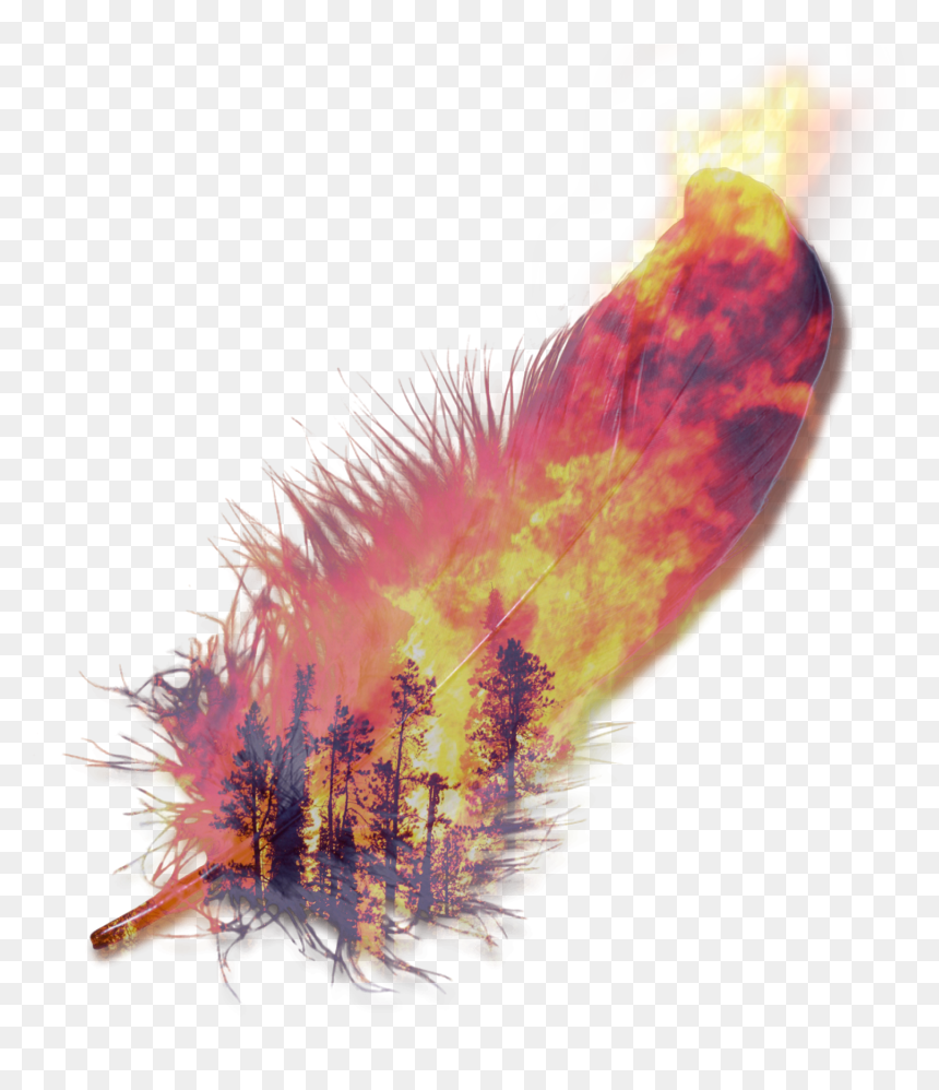 Lymantria Dispar Dispar, HD Png Download - planeta tierra png
