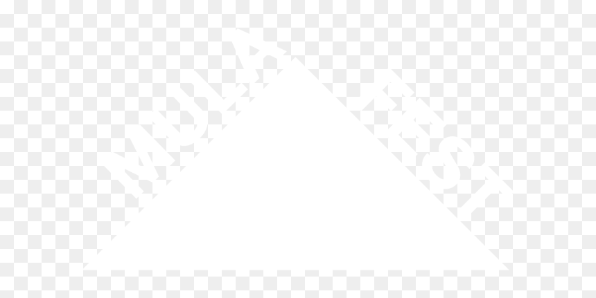 Johns Hopkins Logo White, HD Png Download - linea negra png
