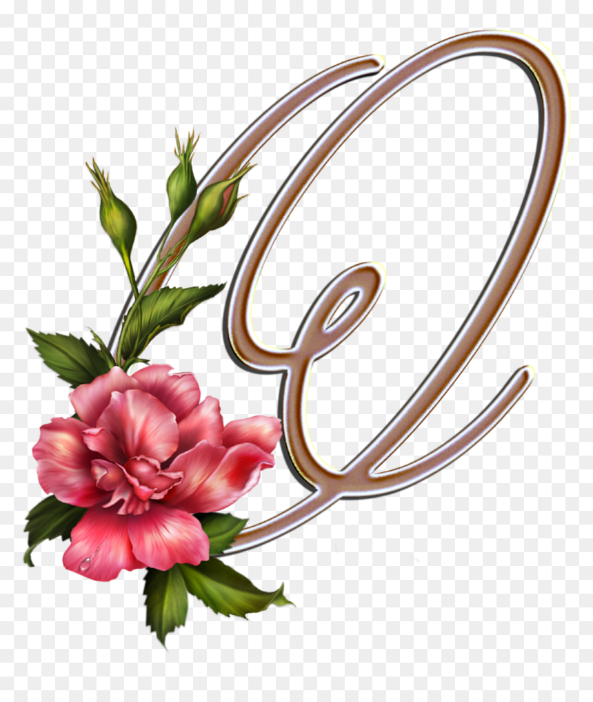 Flores Y Letras Para Decoupage - Common Peony, HD Png Download - molduras de flores png
