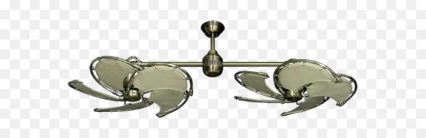 Frog, HD Png Download - nautical frame png