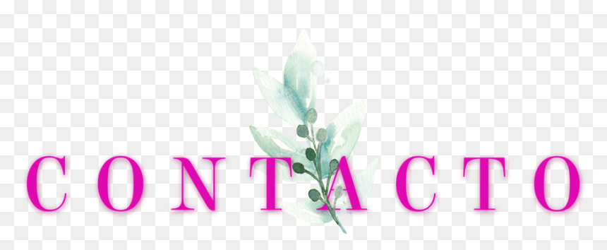 Floral Design, HD Png Download - bendiciones png