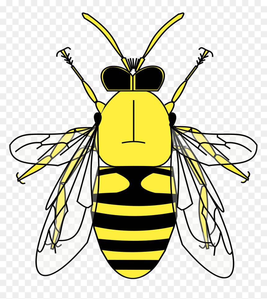 Abeille Héraldique, HD Png Download - abeja png