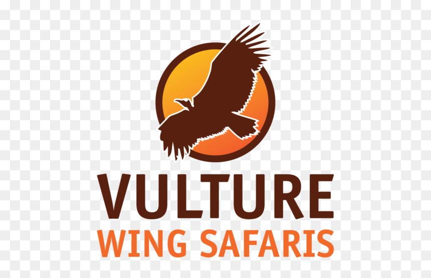 Web Vulture Logo-01 - Carif Oref, HD Png Download - safari logo png