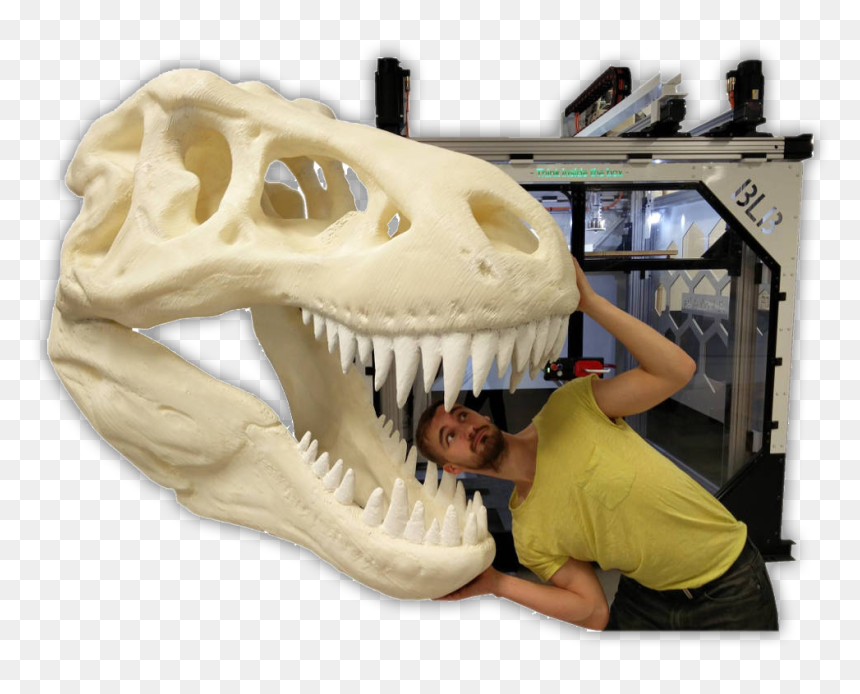 Massive 3d Printer Object , Png Download - Skull, Transparent Png - 3d objects png