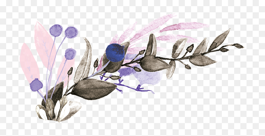 Image - Lavender, HD Png Download - fringe png