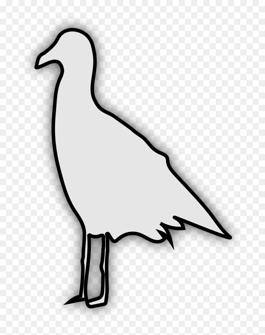 Image Of Seagull - Seabird, HD Png Download - fringe png
