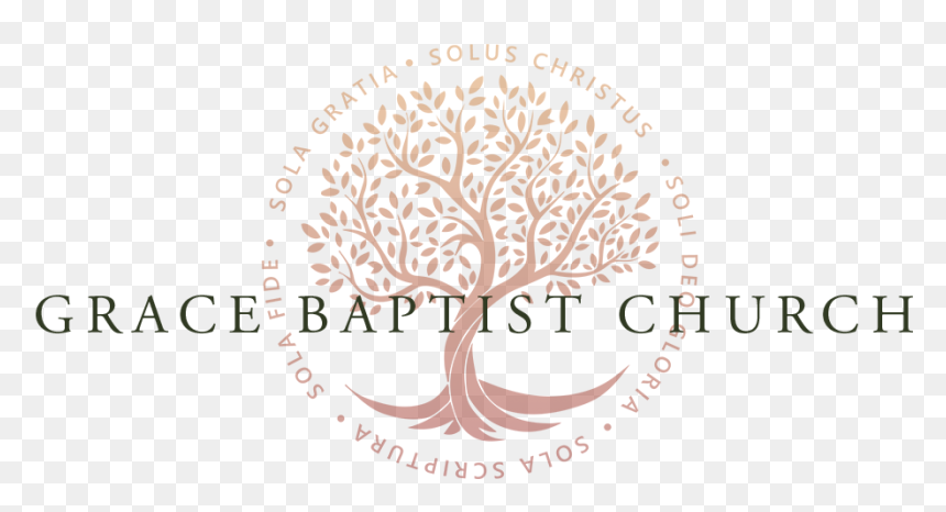 Oow Tree Logo C Small - Tree Of Life, HD Png Download - resurrection png