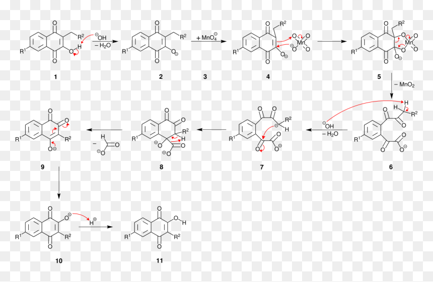 Hooker Oxidation Mechanismus-v1 - Oxidation Mit Kmno4 Mechanismus, HD Png Download - hooker png