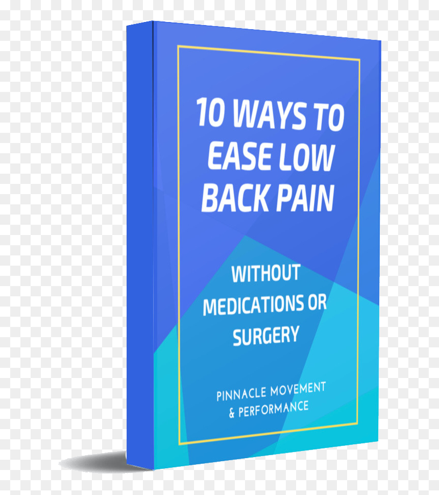 Back Pain Guide Boca Raton Physical Therapy - Colorfulness, HD Png Download - raton png