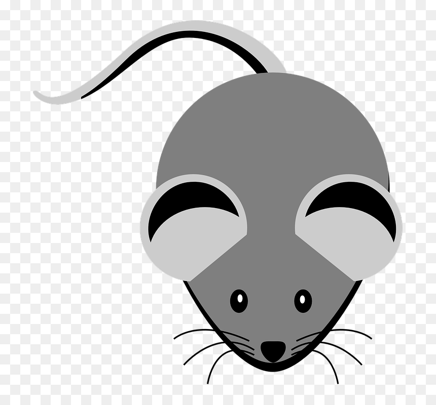 Mice Illustration Free, HD Png Download - raton png