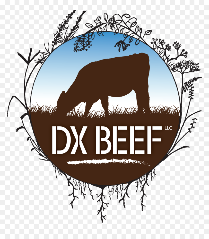 Dx Beef Logo Bluesky, HD Png Download - dx png