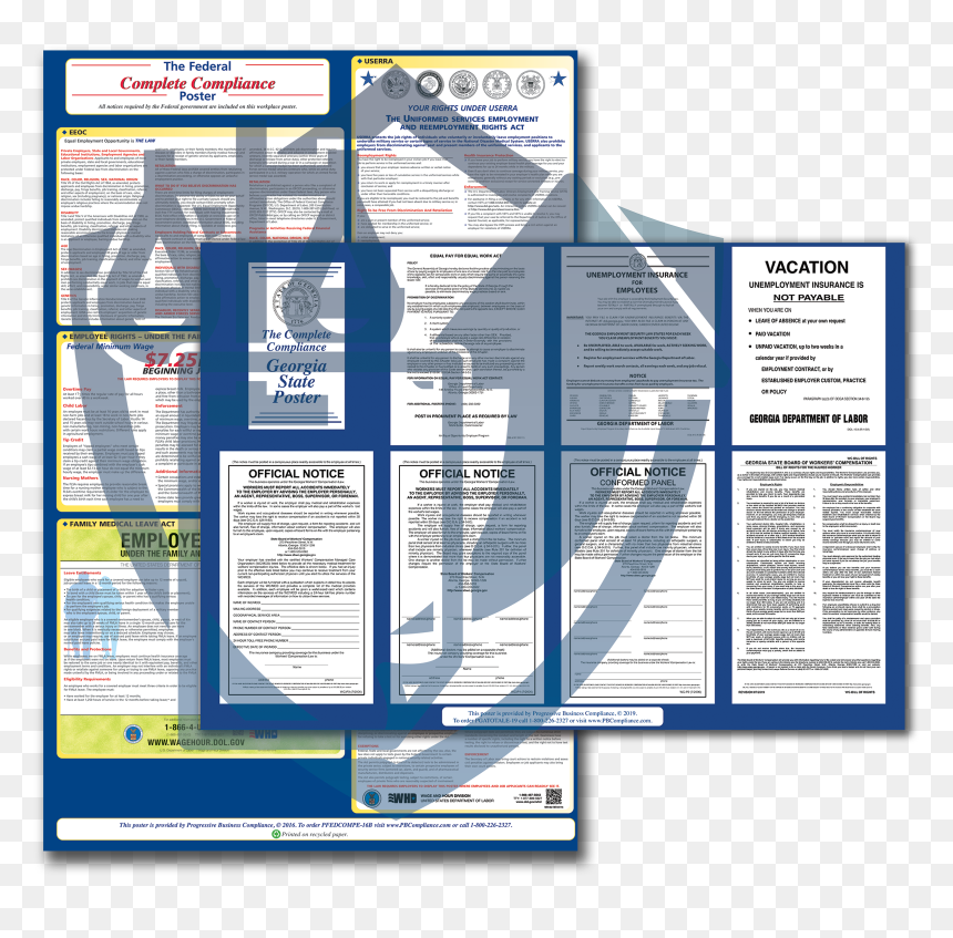 Georgia All In 1 Federal And State Combo Plus Update - Resourceful Compliance, HD Png Download - state of georgia png