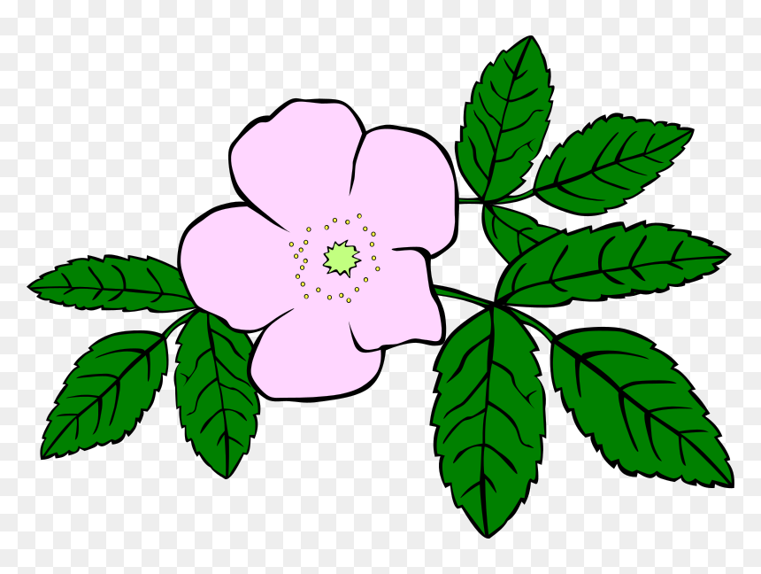 Gg Rosa Acicularis - Cartoon Plants And Flowers, HD Png Download - gg png