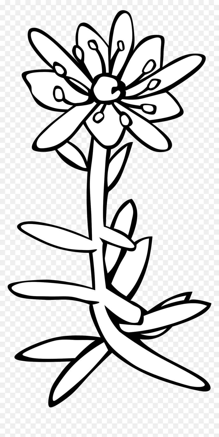 Gg Saxifraga Aizoides Clip Arts - Saxifraga Clipart, HD Png Download - gg png