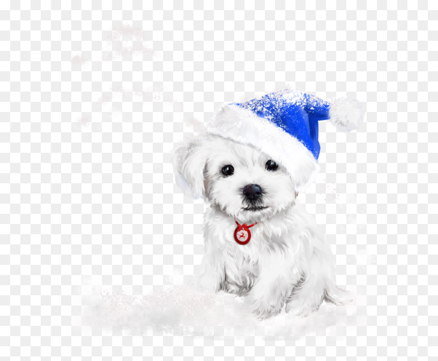 Merry Christmas Dog, HD Png Download - att png