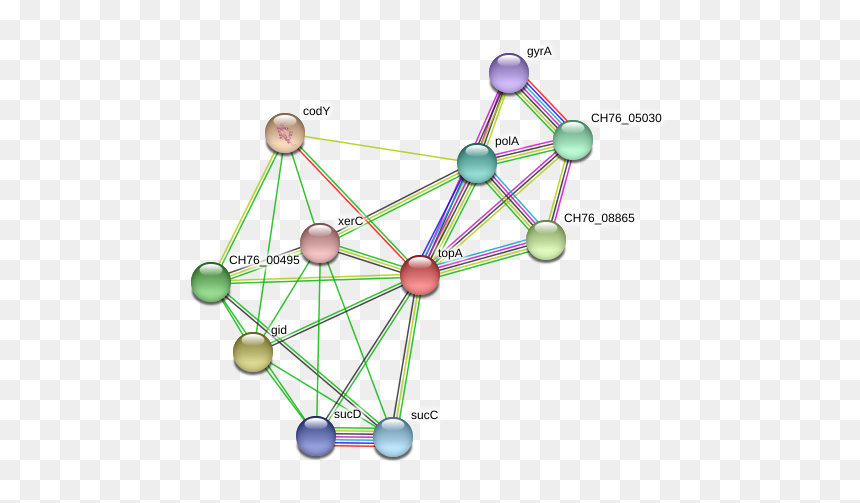 Topa Protein - Circle, HD Png Download - bf4 png