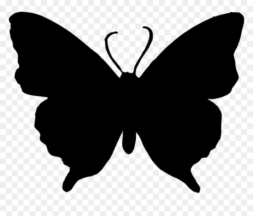 Silhouette Of Butterfly Png, Transparent Png - white silhouette png