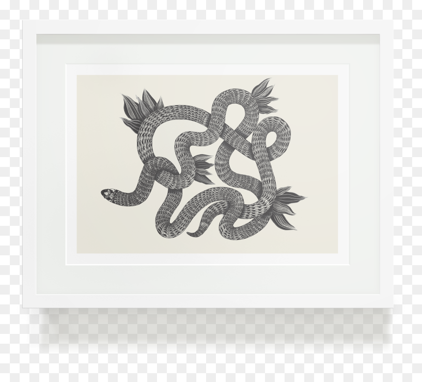 Picture Frame, HD Png Download - snake eyes png